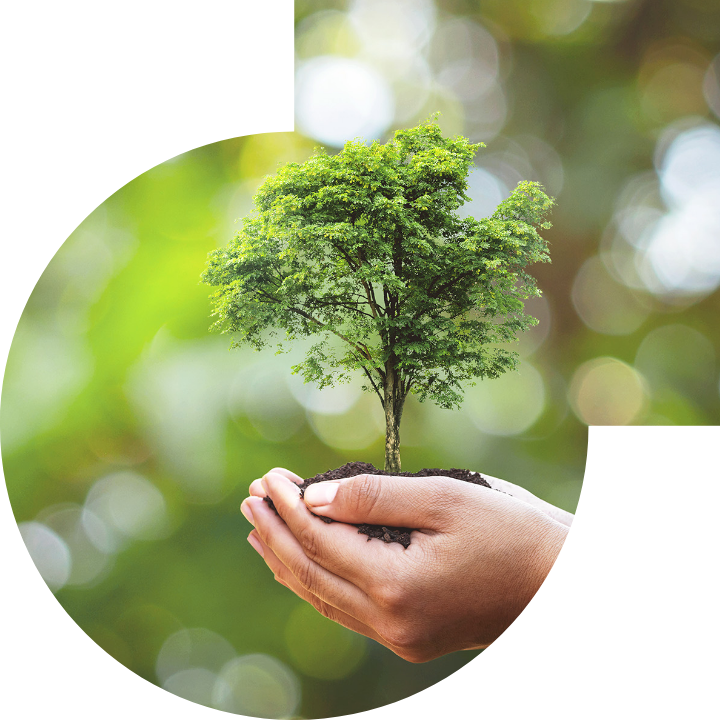 关怀人类、文化、环境与社会